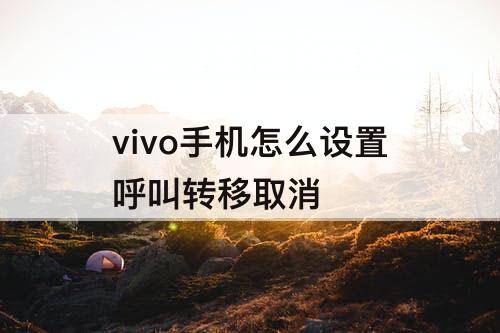 vivo手机怎么设置呼叫转移取消