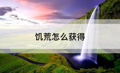 饥荒怎么获得