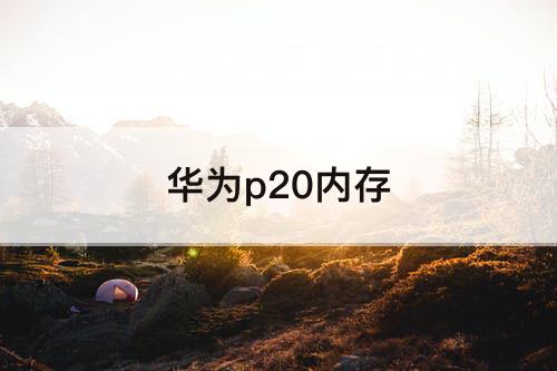 华为p20内存