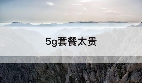 5g套餐太贵