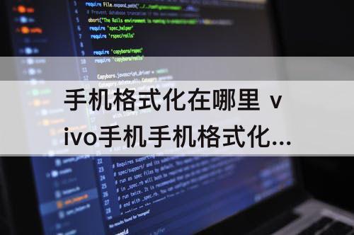 手机格式化在哪里 vivo手机手机格式化在哪里
