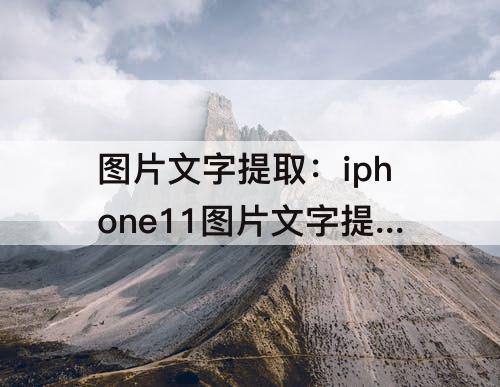 图片文字提取：iphone11图片文字提取