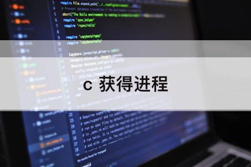 c 获得进程
