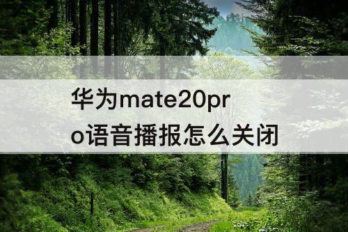 华为mate20pro语音播报怎么关闭
