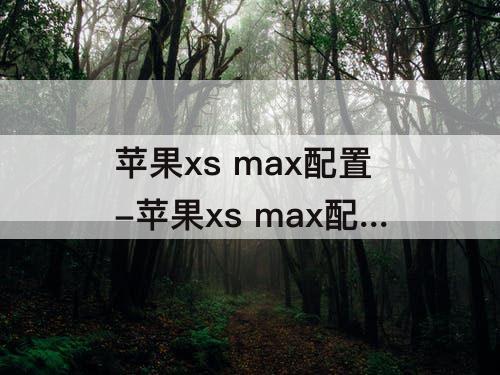 苹果xs max配置-苹果xs max配置单