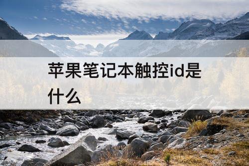 苹果笔记本触控id是什么