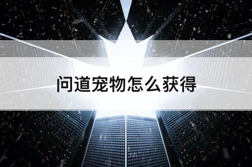 问道宠物怎么获得