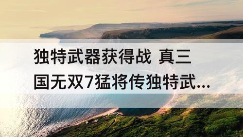 独特武器获得战 真三国无双7猛将传独特武器获得战10