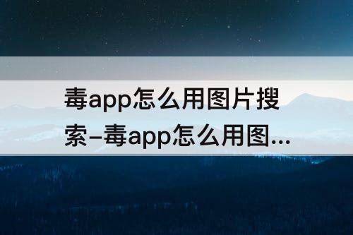 毒app怎么用图片搜索-毒app怎么用图片搜索同款
