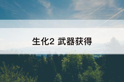 生化2 武器获得