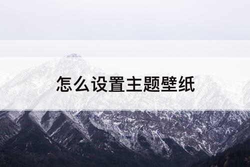 怎么设置主题壁纸