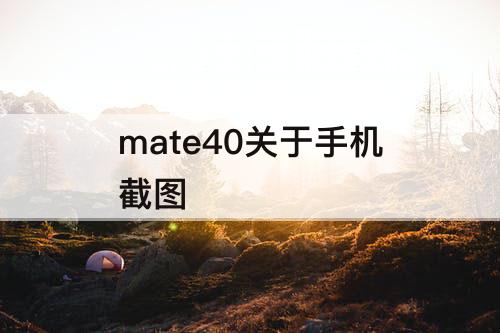 mate40关于手机截图