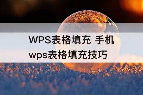 WPS表格填充 手机wps表格填充技巧