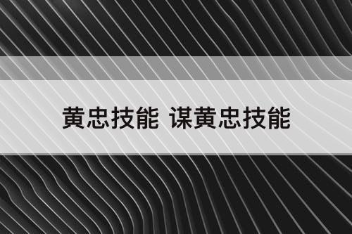 黄忠技能 谋黄忠技能