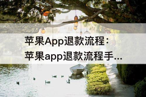 苹果App退款流程：苹果app退款流程手机操作