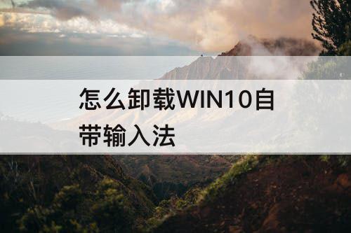 怎么卸载WIN10自带输入法