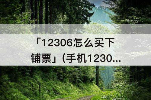 「12306怎么买下铺票」(手机12306怎么买下铺票)