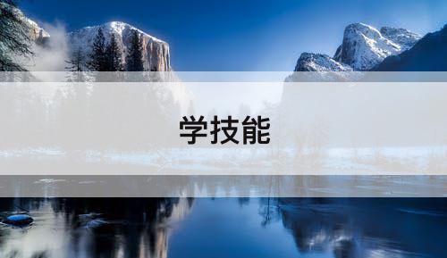 学技能