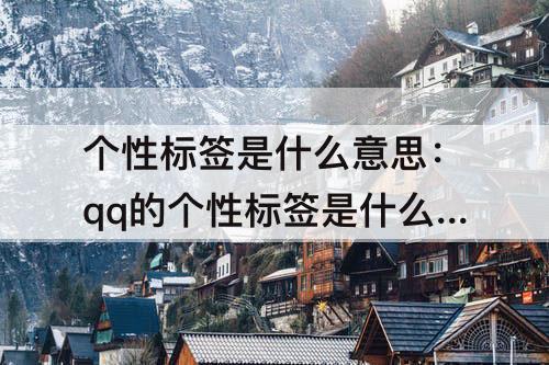 个性标签是什么意思：qq的个性标签是什么意思