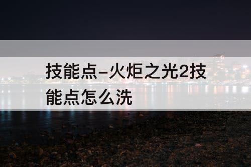 技能点-火炬之光2技能点怎么洗