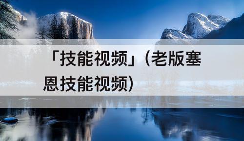 「技能视频」(老版塞恩技能视频)