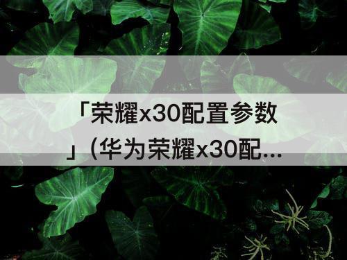 「荣耀x30配置参数」(华为荣耀x30配置参数)