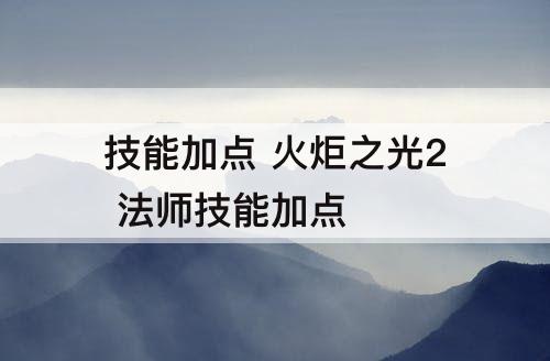 技能加点 火炬之光2 法师技能加点