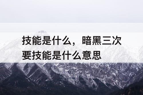 技能是什么，暗黑三次要技能是什么意思