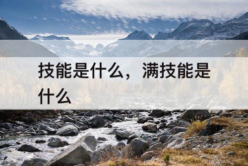 技能是什么，满技能是什么