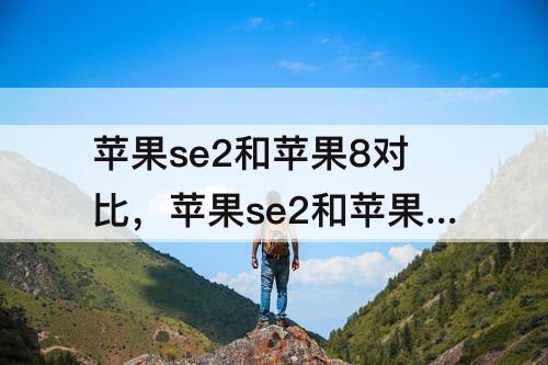 苹果se2和苹果8对比，苹果se2和苹果8对比评测
