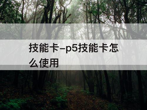 技能卡-p5技能卡怎么使用