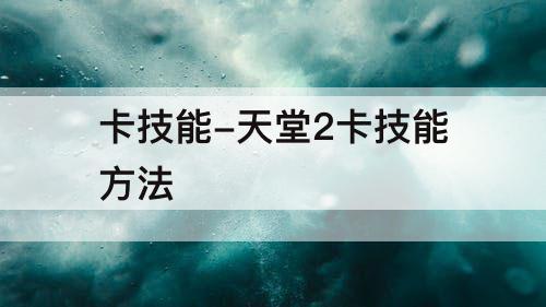 卡技能-天堂2卡技能方法