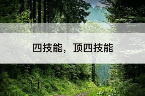 四技能，顶四技能