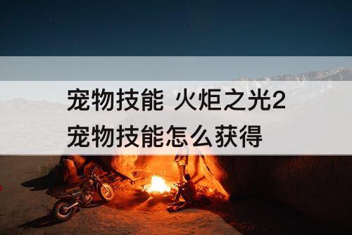 宠物技能 火炬之光2宠物技能怎么获得
