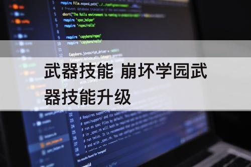 武器技能 崩坏学园武器技能升级