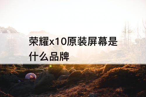 荣耀x10原装屏幕是什么品牌