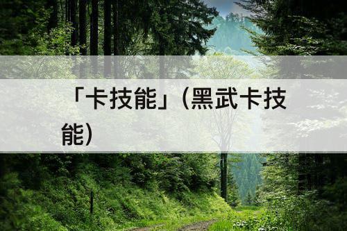 「卡技能」(黑武卡技能)