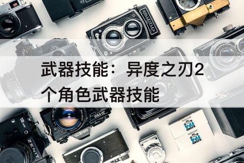 武器技能：异度之刃2个角色武器技能