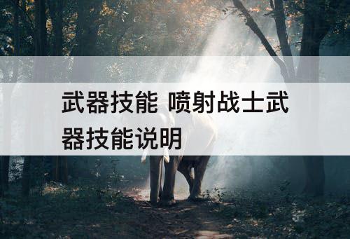 武器技能 喷射战士武器技能说明
