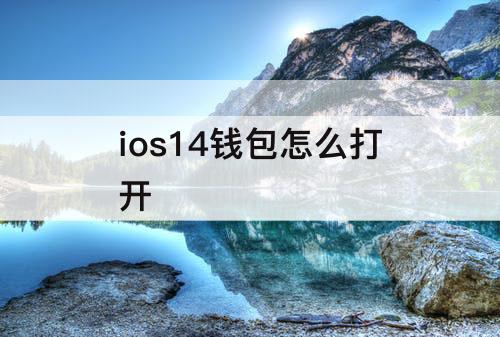 ios14钱包怎么打开