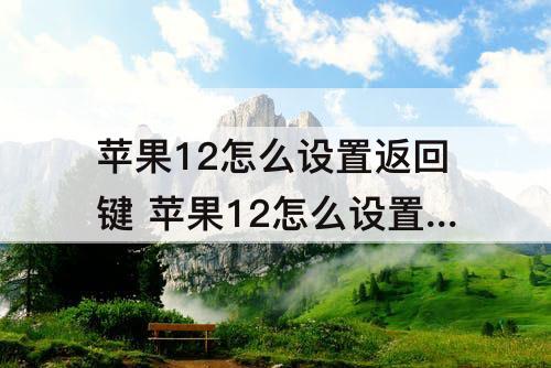 苹果12怎么设置返回键 苹果12怎么设置返回键在悬浮球
