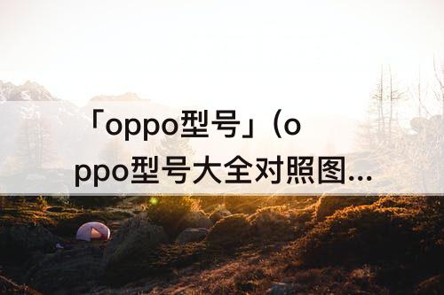 「oppo型号」(oppo型号大全对照图)