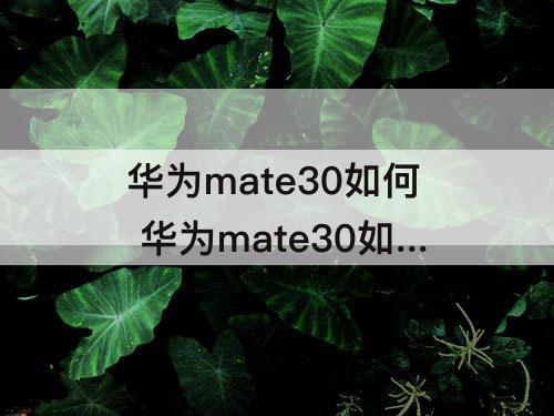 华为mate30如何 华为mate30如何投屏到车上