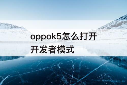 oppok5怎么打开开发者模式