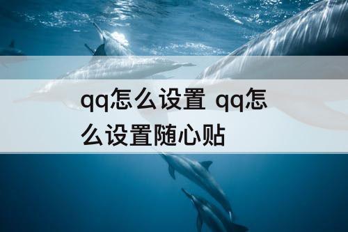 qq怎么设置 qq怎么设置随心贴