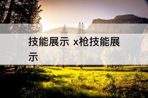 技能展示 x枪技能展示