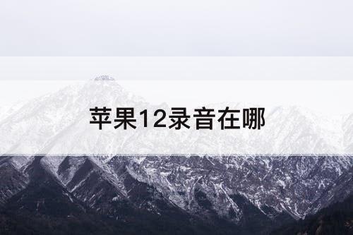 苹果12录音在哪