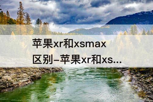 苹果xr和xsmax区别-苹果xr和xsmax区别哪个更好