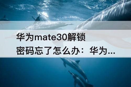 华为mate30解锁密码忘了怎么办：华为mate30解锁密码忘了怎么办 不重置