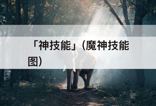 「神技能」(魔神技能图)